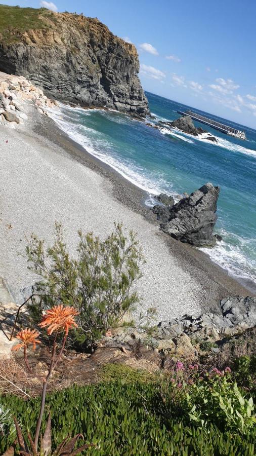 Port De Llanca , La Miranda公寓 外观 照片